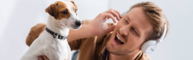 Ofiste Jack Russell Terrier 'ın yanında kablosuz kulaklıklı heyecanlı iş adamının panoramik görüntüsü.