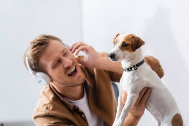 Kablosuz kulaklıklı heyecanlı iş adamı ofiste Jack Russell Terrier köpeğine dokunuyor.
