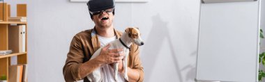 VR kulaklıklı işadamlarının internet sitesi başkanı Jack Rassell Terrier 'ı ofisinde tutarken gülüyor