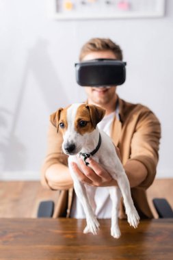selective focus of young businessman in vr headset holding jack rassell terrier dog in office clipart