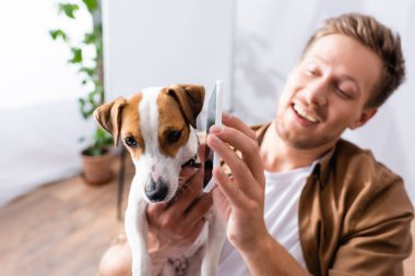 Jack Russell Terrier 'ın kulağının yanında akıllı telefonu tutan iş adamının seçici odak noktası