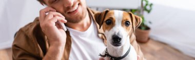Jack Russell Terrier köpeğiyle ofisteki akıllı telefondan konuşan iş adamının kırpılmış görüntüsü.