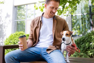 Jack Russell Terrier 'ın yanında bankta otururken elinde kağıt bardakla günlük kıyafetli genç bir adam.