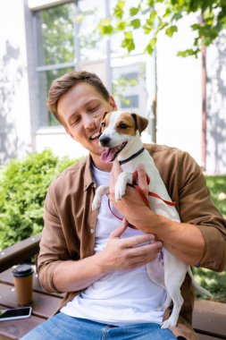 Genç adam yeşil bitkilerin yanında Jack Russell Terrier köpeğiyle bankta oturuyor.