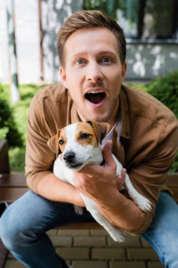 Jack Russell Terrier köpeğini tutarken kameraya bakan ağzı açık heyecanlı bir adam.