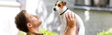 panoramic shot of man raising jack russell terrier dog on hands while standing on street clipart