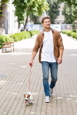Günlük kıyafetlerle gezen genç adam Jack Russell Terrier köpeğiyle şehir yolu boyunca yürüyor.
