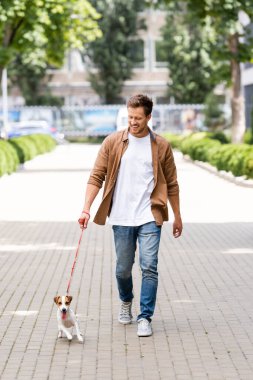 Günlük kıyafetli genç adam Jack Russell Terrier köpeğiyle şehir yolu boyunca yürüyor.