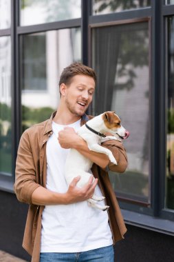 Jack Russell Terrier 'ı sokak ortasında günlük giysiler içinde tutan genç adam.