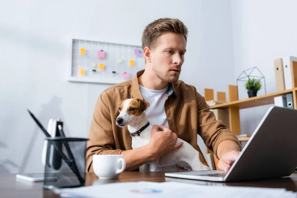 Selektivní Zaměření Koncentrované Podnikatel Pomocí Notebooku Při Práci Jack Russell — Stock fotografie