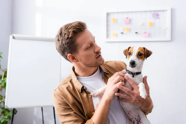 Businessman Casual Clothes Standing Blank Flipchart While Holding Jack Russell — Stock Photo, Image