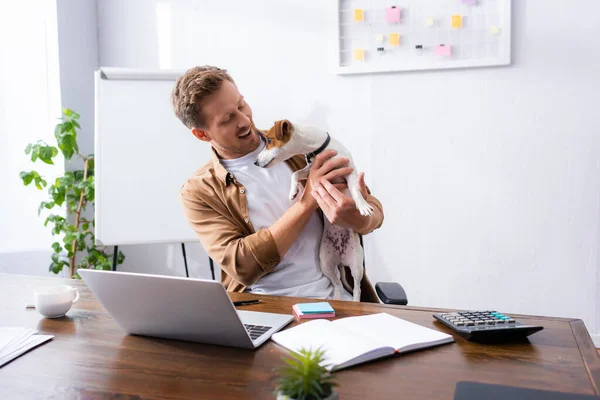 Homem Negócios Roupas Casuais Segurando Jack Russell Cão Terrier Enquanto — Fotografia de Stock