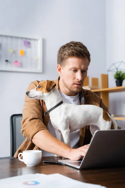 Skoncentrowany Biznesmen Pomocą Laptopa Miejscu Pracy Pobliżu Jack Russell Terrier — Zdjęcie stockowe