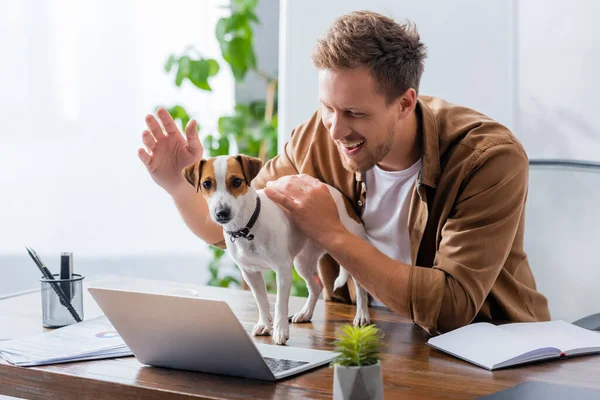 Young Businessman Touching Jack Russell Terrier Dog Standing Office Desk — Stock Photo, Image