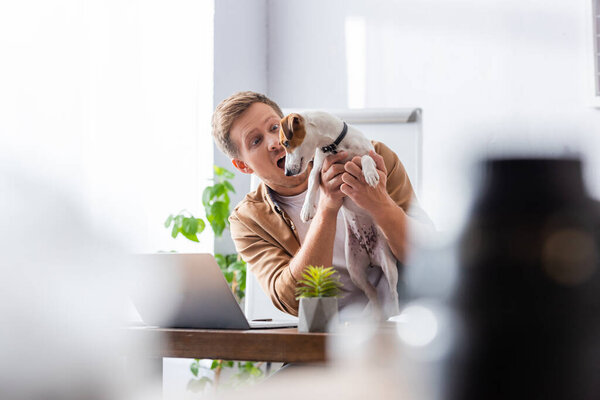 selective focus of excited businessman holding jack russell terrier dog while sitting at workplace in office