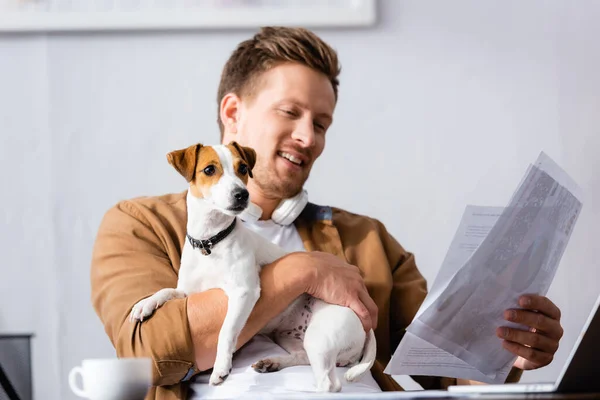 Mladý Podnikatel Při Pohledu Dokumenty Zatímco Mazlení Jack Russell Teriér — Stock fotografie