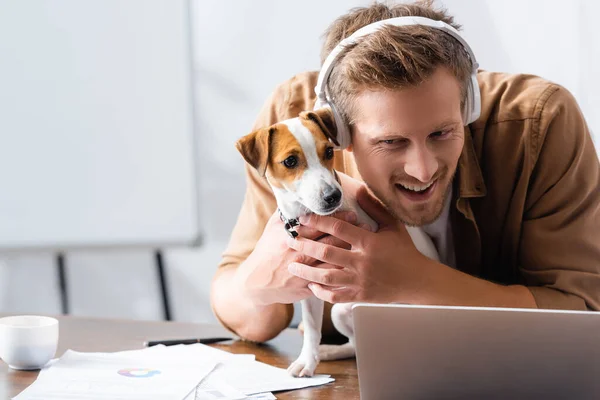 Jungunternehmer Mit Drahtlosen Kopfhörern Kuschelt Jack Russell Terrier Hund Arbeitsplatz — Stockfoto