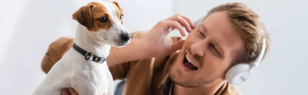 Ofiste Jack Russell Terrier Yanında Kablosuz Kulaklıklı Heyecanlı Adamının Panoramik — Stok fotoğraf