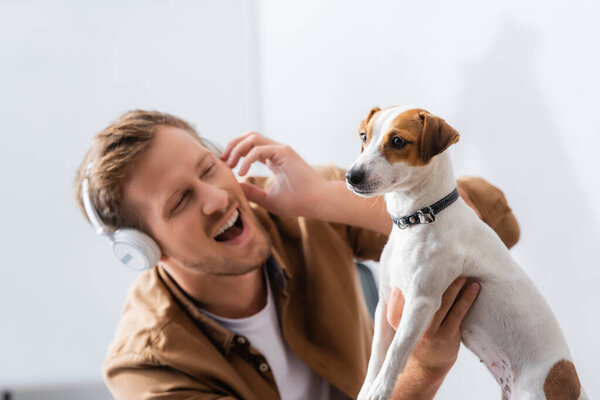 excited businessman in wireless headphones touching jack russell terrier dog in office
