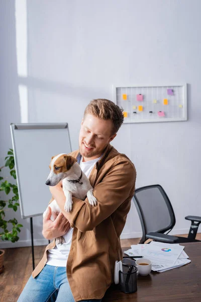 Biznesmen Ubraniach Casual Siedzi Biurku Trzyma Jack Russell Terrier Dog — Zdjęcie stockowe