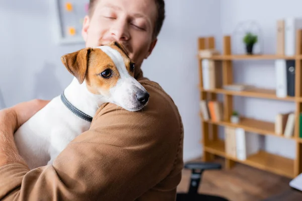 Enfoque Selectivo Joven Empresario Sosteniendo Gato Russell Terrier Perro Mientras —  Fotos de Stock