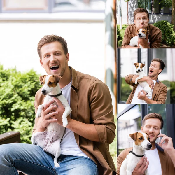 Collage Excited Man Holding Jack Russell Terrier Dog Puffing Out — Stock Photo, Image