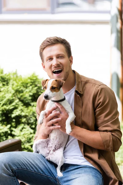 Excited Man Looking Camera While Sitting Bench Holding Jack Russell — Stock Photo, Image