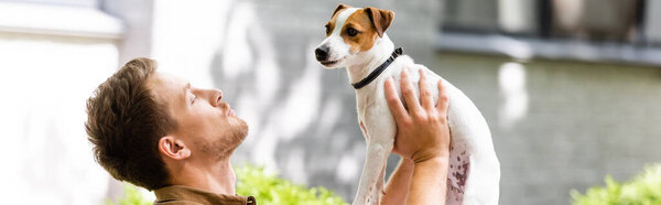 panoramic shot of man raising jack russell terrier dog on hands while standing on street