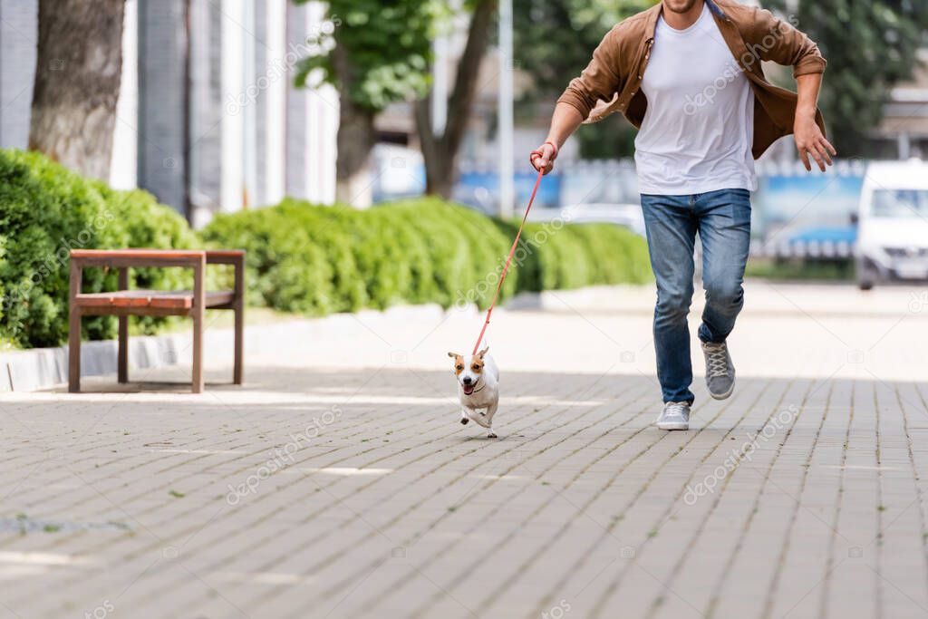 partial view of man with jack russell terrier dog on leash running along urban walkway