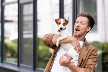 Heyecanlı ve ağzı açık bir adam Jack Russell Terrier köpeğini şehir sokaklarında tutuyor.