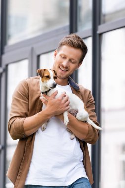 Kafasında kahverengi lekeler olan beyaz Jack Russell Terrier köpeği tutan sıradan elbiseli bir adam.