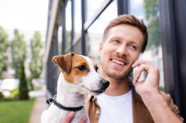 Jack Russell Terrier 'ı sokak ortasında tutarken akıllı telefondan konuşan genç adamın seçici odak noktası.