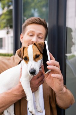 Jack Russell Terrier 'ın kulağına yakın bir yerde cep telefonu tutan genç bir adamın seçici odak noktası.