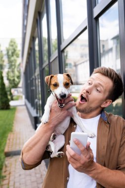 Elinde cep telefonu olan heyecanlı bir adam Jack Russell Terrier köpeğini şehir caddesinde tutuyor.