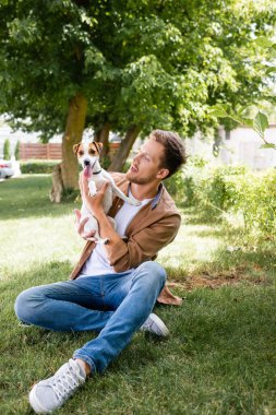 Kahverengi gömlekli ve kot pantolonlu bir adam parkta çimenlikte otururken Jack Russell Terrier köpeği tutuyor.