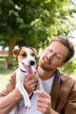 Genç adam beyaz Jack Russell Terrier köpeği tutuyor. Parkta kafasında kahverengi lekeler var.