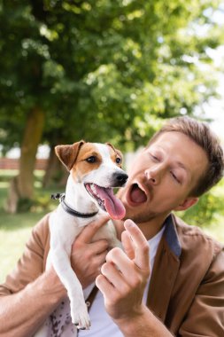 Heyecanlı ve ağzı açık adam parkta Jack Russell Terrier 'ın diline dokunuyor.