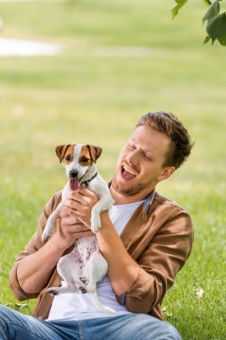 Kahverengi gömlekli heyecanlı adam yeşil çimlerde otururken Jack Russell Terrier köpeğini tutuyor.