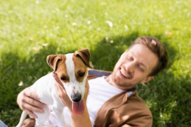 Genç adam yeşil çimlerde dinlenirken Jack Russell Terrier köpeğini tutuyor.