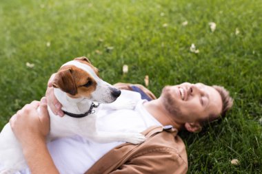 Jack Russell Terrier köpeğiyle yeşil çimlerde gözleri kapalı yatan adamın yüksek açılı görüntüsü.