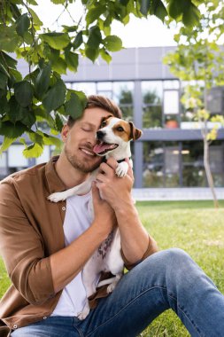 Kahverengi gömlekli ve kot pantolonlu genç adam çimenlerde oturup Jack Russell Terrier 'a sarılıyor.