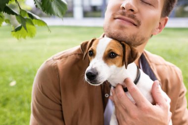 Kafasında kahverengi lekeler olan beyaz Jack Russell Terrier köpeği tutan genç bir adam görüntüsü.