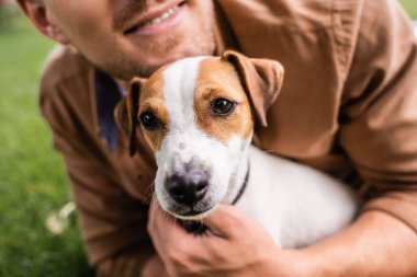 Yeşil çimlerin üzerinde uzanmış Jack Russell Terrier köpeğine sarılan bir adamın görüntüsü.