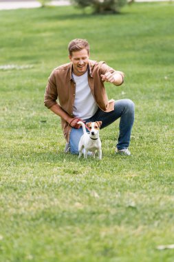 Kahverengi gömlekli ve kotlu genç adam parkta yeşil çimlerde Jack Russell Terrier köpeğiyle oynuyor.