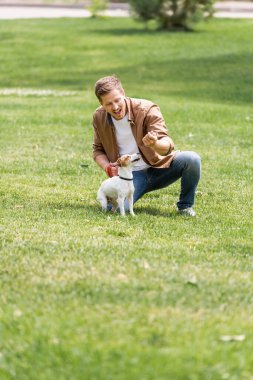 Parktaki yeşil çimlerde Jack Russell Terrier köpeği eğiten heyecanlı adam.