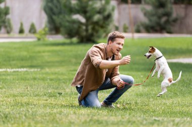 Parkta zıplayan Jack Russell Terrier 'a bakan heyecanlı adamın seçici odağı