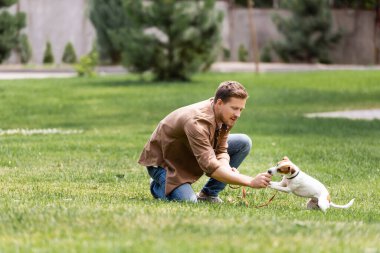Jack Russell Terrier ile parkta oynayan adamın seçici odak noktası 