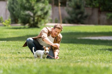 Jack Russell Terrier 'ın yanında diz çökmüş, parkta tasmalı genç bir adamın seçici odağı. 
