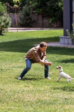 Jack Russell Terrier 'ı parkta besleyen heyecanlı adamın seçici odağı. 