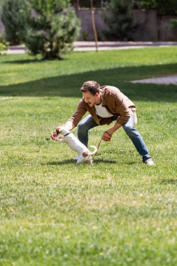 Selective focus of excited man holding leash while playing with jack russell terrier in park  clipart
